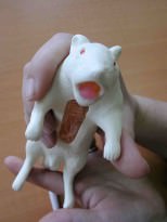 rat de laboratoire Google.jpg